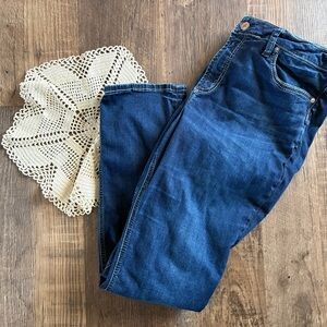 Silver Jeans Plus Avery High Rise Straight Stretch Jeans 18x30 Women's Maurice's